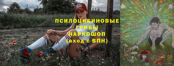 СК Балахна